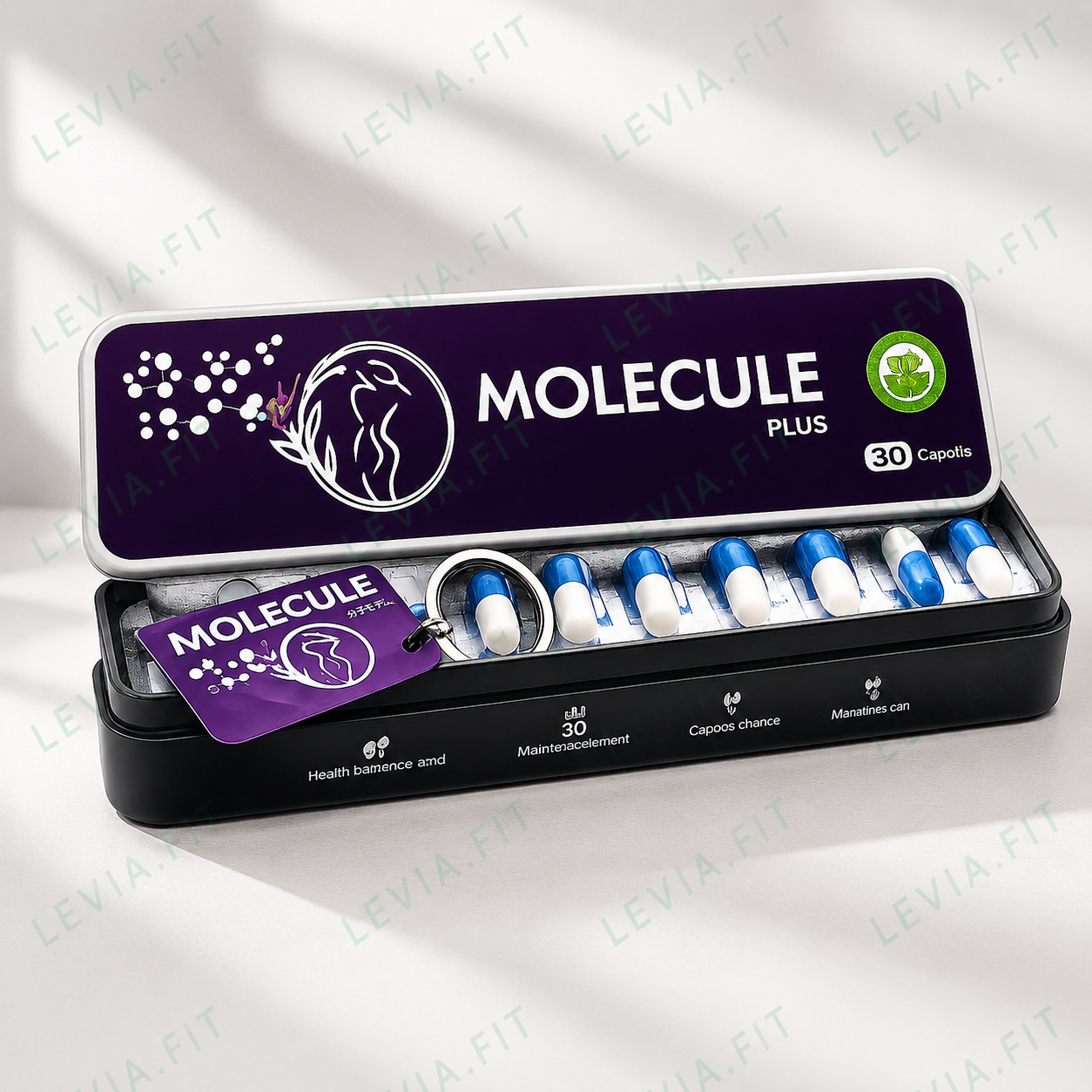 MOLECULE PLUS